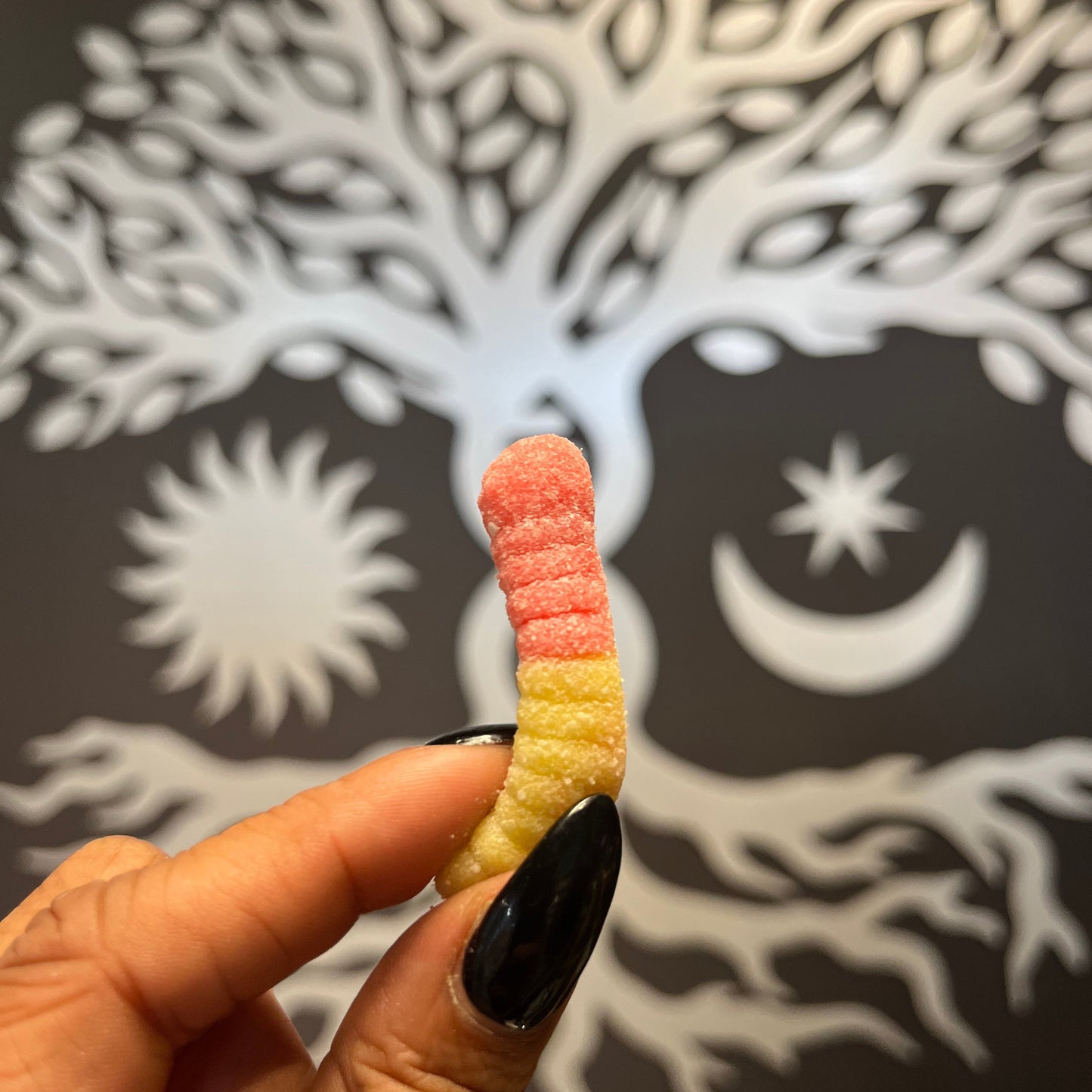 A single Chill Neon Worm — our THC-free hemp-based CBD + CBG gummies — 25 mg each (500 mg total). Non-drowsy calm and pain relief.