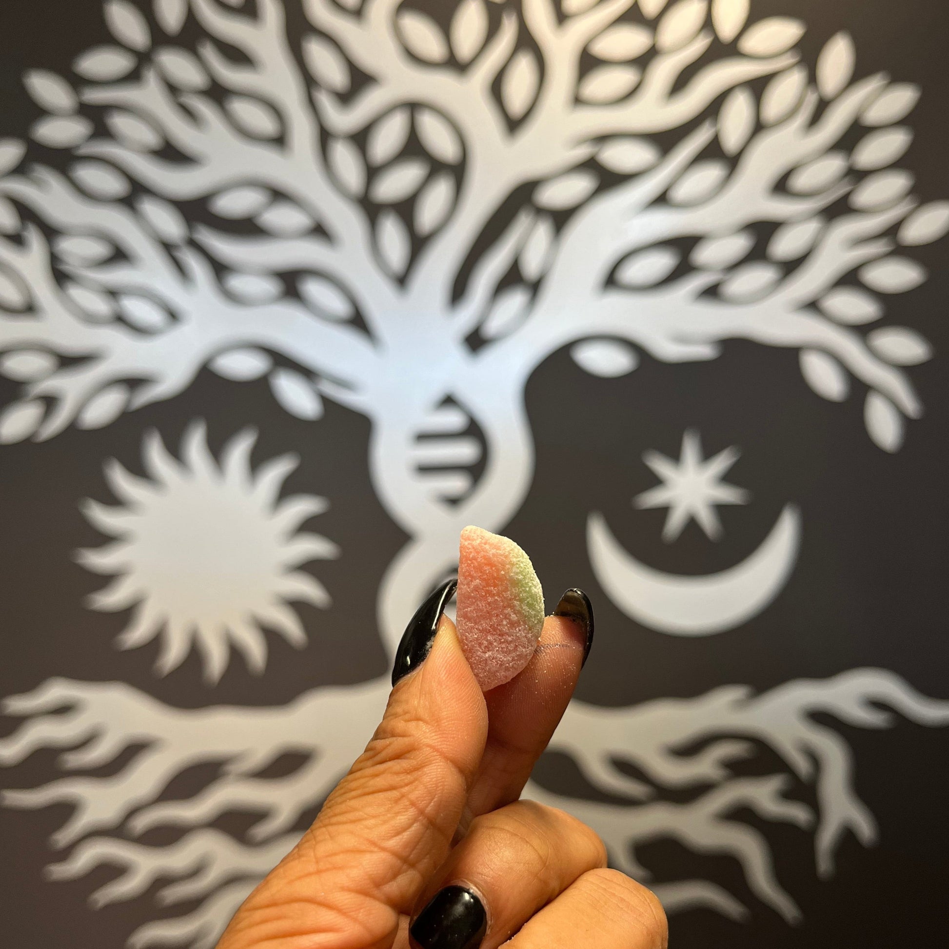 A single Chill Watermelon Wedge held by fingers — THC-free hemp-based CBD + CBG gummies — 25 mg each (500 mg total). Non-drowsy calm and pain relief. Gluten free (GF) and vegan.