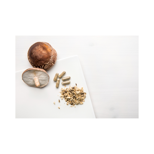 Enhance Your Wellness with Nutrient-Rich Mushroom Powder!