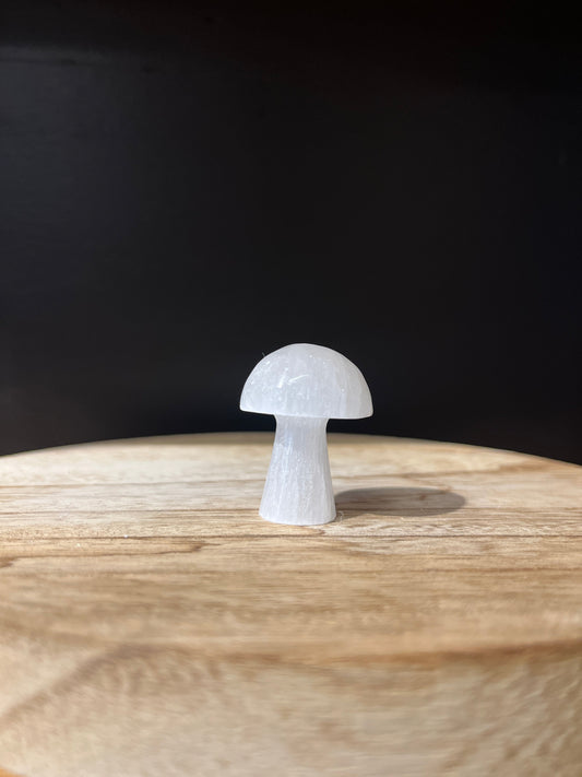 Selenite Mushroom