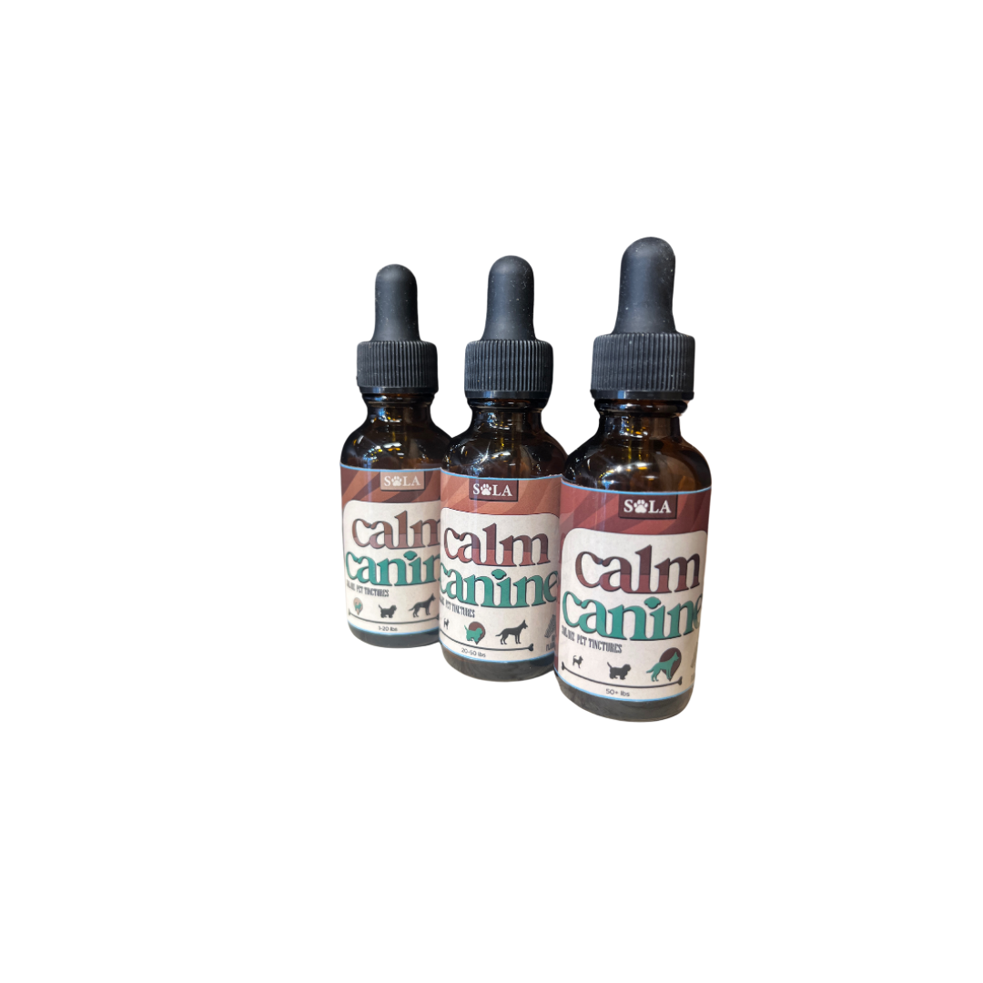 Dog Tincture for Balanced Mood, Energy & Relaxation